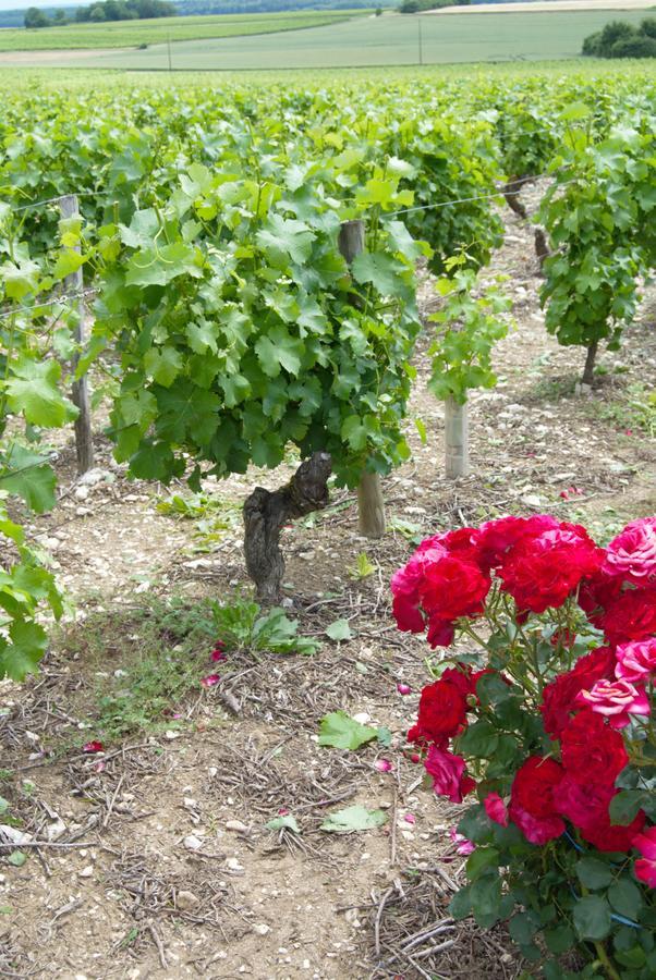 مبيت وإفطار La Pouillyzotte المظهر الخارجي الصورة